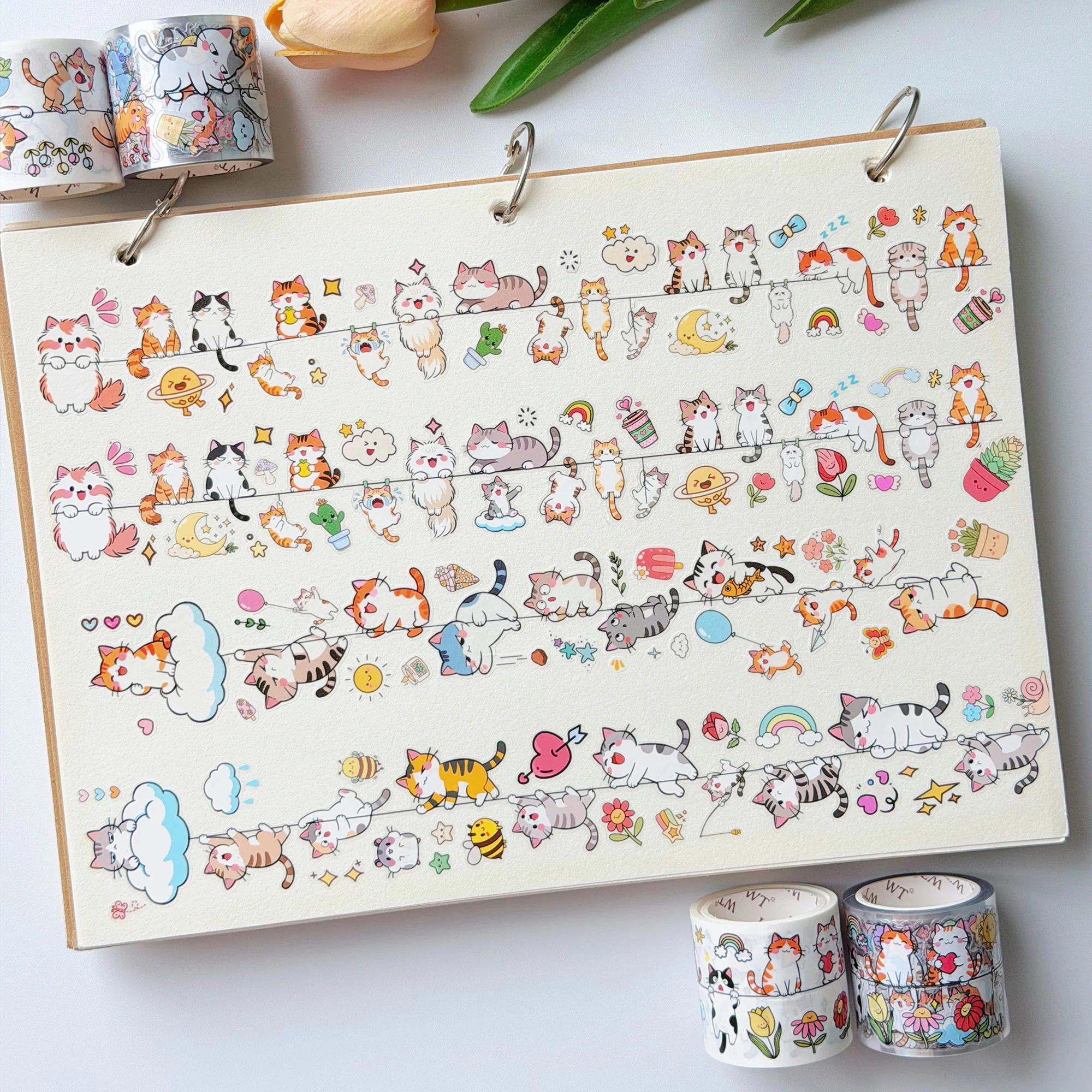 Pre-cut Kitty Conga Bundle - Image 3